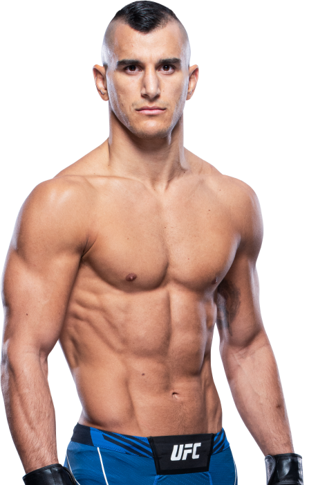 NATAN LEVI